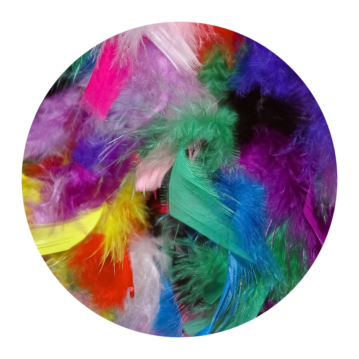 Bright Feathers