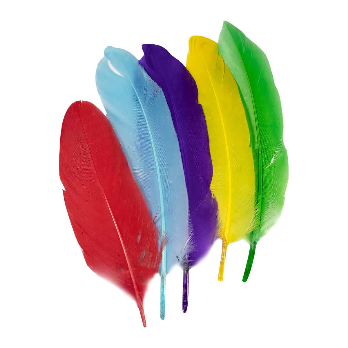 Bright Goose Feathers