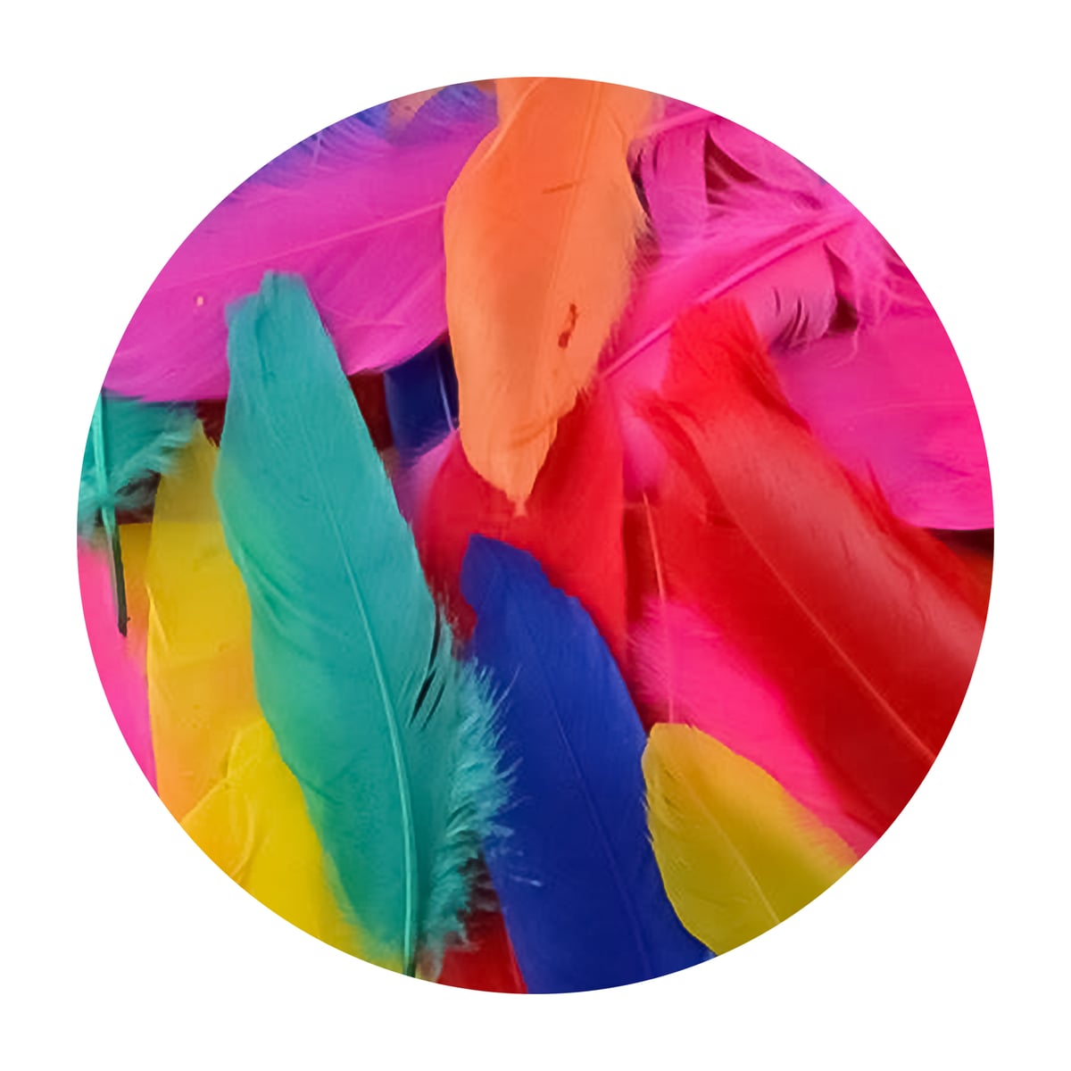 Pastel Goose Feathers