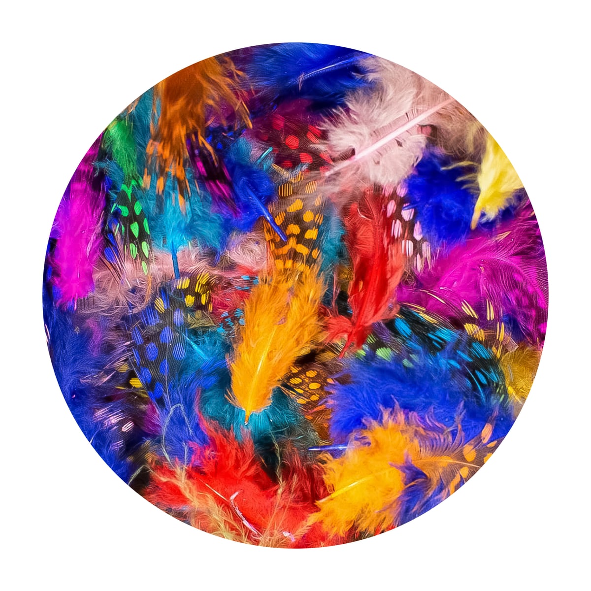 Feathres Guinea Fowl Ass Colours 3GMS
